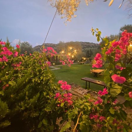 Suzi'Nin Bahcesi Bungalov Evler Datça Exterior foto