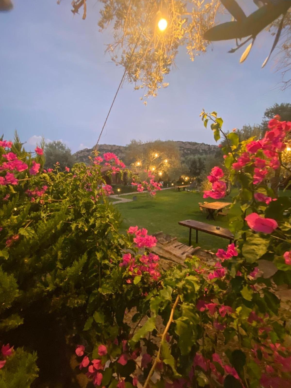 Suzi'Nin Bahcesi Bungalov Evler Datça Exterior foto
