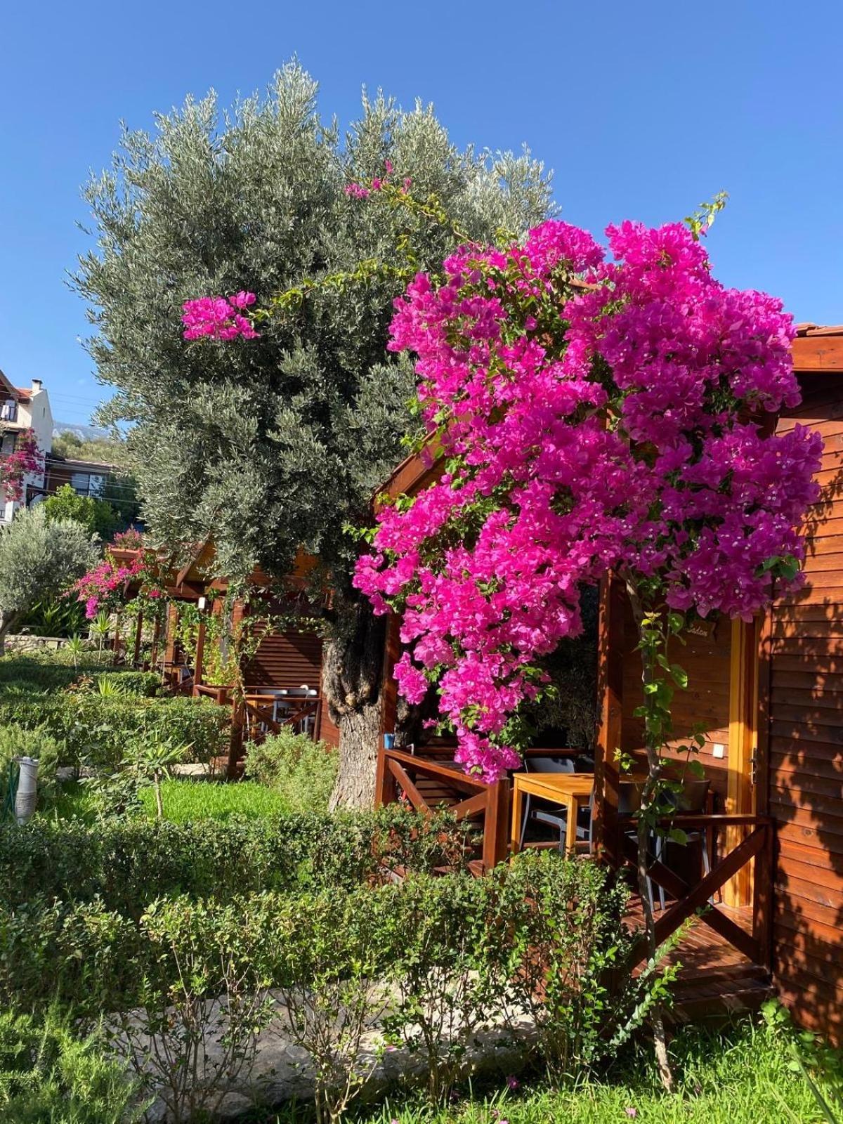 Suzi'Nin Bahcesi Bungalov Evler Datça Exterior foto